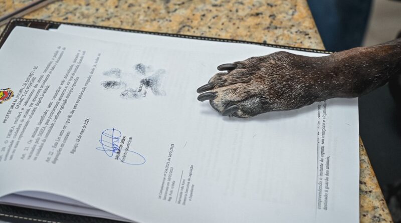 Cãozinho Nescau assina com o prefeito Salmir da Silva a lei que cria o Dibea de Biguaçu